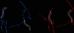 New research demonstrates complexity underlying the ‘simplest form of learning’