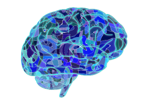 1000 simple words to improve science communication