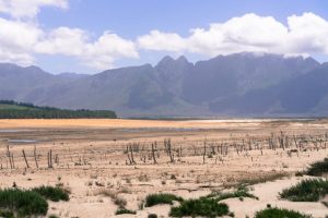 Nudging the city and residents of Cape Town to save water