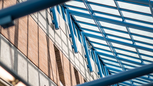 UBC Psychology – Statement of Support for the Global Climate Strike