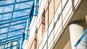 2020 Times Higher Education: UBC Psychology 10th in the world, 1st in Canada