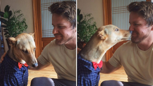 Pets of UBC Psych: Deano