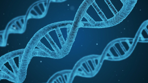 Past, present and future: The social implications of DIY DNA kits