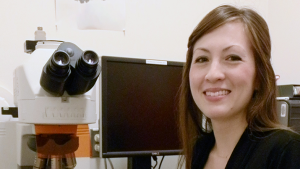 New study looks at the effects of aging on testosterone in the brain