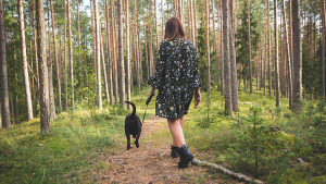 Nature versus urban: What we look at impacts how we think and walk