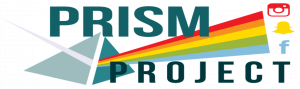 Promoting Relationships in Social Media (PRISM) Project