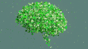 Dr. Jiaying Zhao and Yu Luo address cognitive biases of climate change in their new research