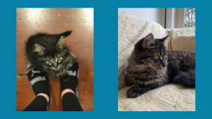 4-month-old Nemo (L) and 10-month-old Nemo (R)