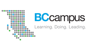 BCcampus Award for Excellence in Open Education awarded to Dr. Simon Lolliot