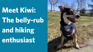 Kiwi – Pets of UBC Psych