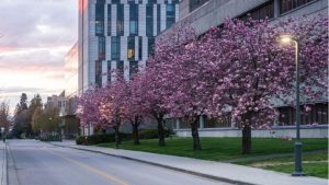 UBC Psychology ranks among the world’s best in 2024