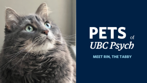 Rin – Pets of UBC Psych