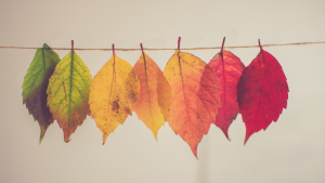 People’s moral values change with the seasons