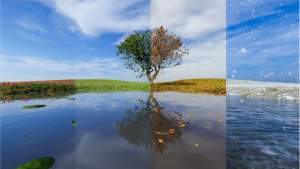 Seasonal change can affect people’s moods — and their moral values